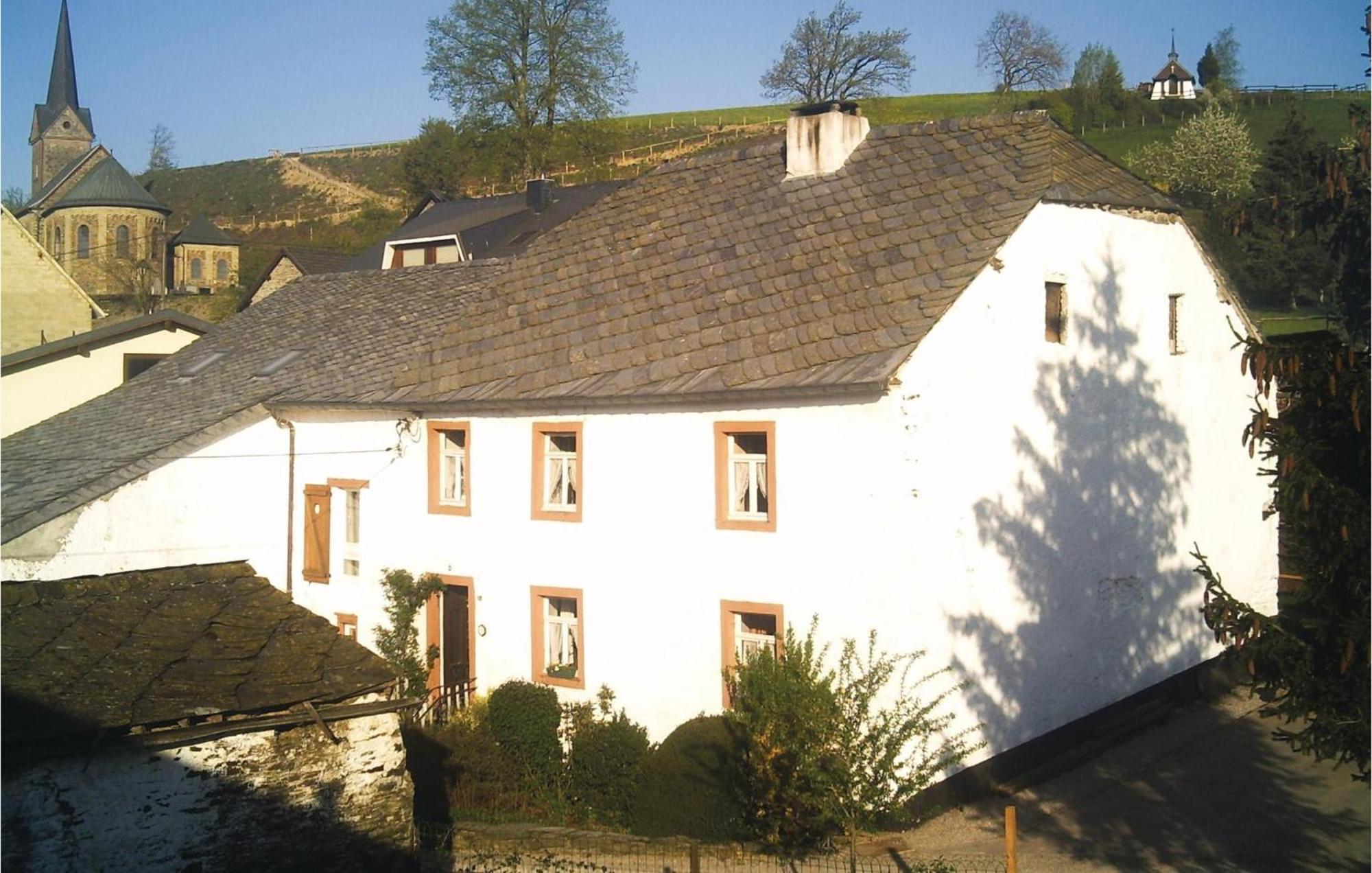 Haus Marx Villa Burg Reuland Exterior foto